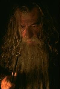 Lord of the Rings 1: The Fellowship of the Ring - 8 x 10 Color Photo #38
