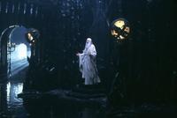 Lord of the Rings 1: The Fellowship of the Ring - 8 x 10 Color Photo #39
