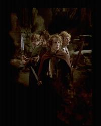 Lord of the Rings 1: The Fellowship of the Ring - 8 x 10 Color Photo #41