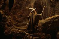 Lord of the Rings 1: The Fellowship of the Ring - 8 x 10 Color Photo #49