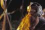 Lord of the Rings: The Return of the King - 8 x 10 Color Photo #5