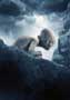Lord of the Rings: The Return of the King - 8 x 10 Color Photo #25