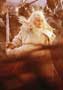 Lord of the Rings: The Return of the King - 8 x 10 Color Photo #36