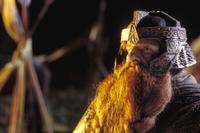 Lord of the Rings: The Return of the King - 8 x 10 Color Photo #5