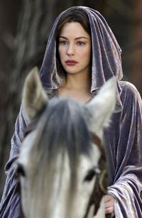 Lord of the Rings: The Return of the King - 8 x 10 Color Photo #20