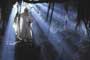 Lord of the Rings: The Two Towers - 8 x 10 Color Photo #20