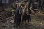 Lord of the Rings: The Two Towers - 8 x 10 Color Photo #58