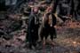 Lord of the Rings: The Two Towers - 8 x 10 Color Photo #62