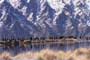 Lord of the Rings: The Two Towers - 8 x 10 Color Photo #79