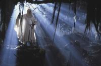 Lord of the Rings: The Two Towers - 8 x 10 Color Photo #20
