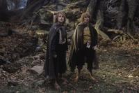 Lord of the Rings: The Two Towers - 8 x 10 Color Photo #22