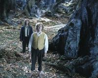 Lord of the Rings: The Two Towers - 8 x 10 Color Photo #23