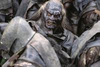 Lord of the Rings: The Two Towers - 8 x 10 Color Photo #50