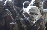 Lord of the Rings: The Two Towers - 8 x 10 Color Photo #51