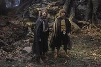 Lord of the Rings: The Two Towers - 8 x 10 Color Photo #58