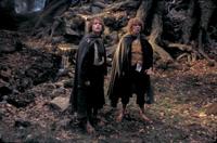 Lord of the Rings: The Two Towers - 8 x 10 Color Photo #62