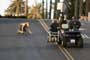 Lords of Dogtown - 8 x 10 Color Photo #25