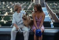 Lost and Found - 8 x 10 Color Photo #7