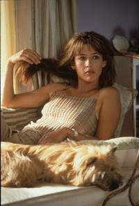 Lost and Found - 8 x 10 Color Photo #13