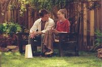 Lost at Home - 8 x 10 Color Photo #2