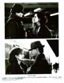 Love at Large - 8 x 10 B&W Photo #2