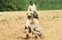 Love Field - 8 x 10 Color Photo #4