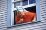 Love Liza - 8 x 10 Color Photo #7