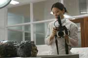 Lucky Number Slevin - 8 x 10 Color Photo #4