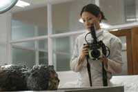 Lucky Number Slevin - 8 x 10 Color Photo #4