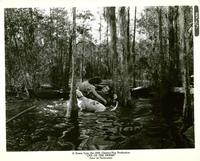 Lure of the Wilderness - 8 x 10 B&W Photo #4
