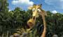 Madagascar - 8 x 10 Color Photo #15