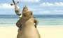 Madagascar - 8 x 10 Color Photo #16