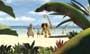 Madagascar - 8 x 10 Color Photo #17
