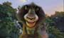 Madagascar - 8 x 10 Color Photo #18