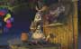 Madagascar - 8 x 10 Color Photo #22