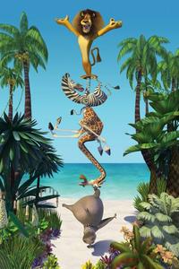 Madagascar - 8 x 10 Color Photo #5
