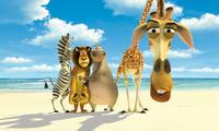 Madagascar - 8 x 10 Color Photo #6