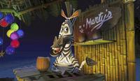 Madagascar - 8 x 10 Color Photo #22