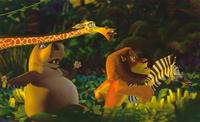 Madagascar - 8 x 10 Color Photo #31