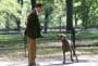 Maid In Manhattan - 8 x 10 Color Photo #14