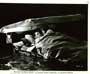 Man's Favorite Sport? - 8 x 10 B&W Photo #4