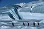 March of the Penguins - 8 x 10 Color Photo #1
