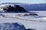 March of the Penguins - 8 x 10 Color Photo #36