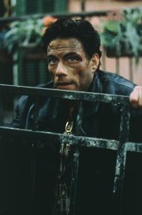 Maximum Risk - 8 x 10 Color Photo #8