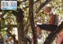 Mean Creek - 8 x 10 Color Photo #2
