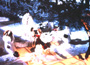Meet Me in St. Louis - 8 x 10 Color Photo #4