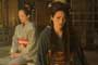 Memoirs of a Geisha - 8 x 10 Color Photo #2