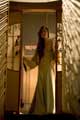 Memoirs of a Geisha - 8 x 10 Color Photo #3