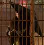 Memoirs of a Geisha - 8 x 10 Color Photo #22