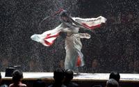 Memoirs of a Geisha - 8 x 10 Color Photo #16